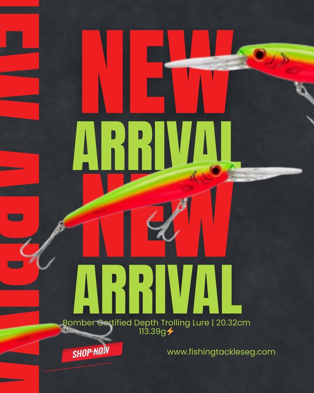 Bomber Certified Depth Trolling Lure | 20.32cm 113.39g⚡️