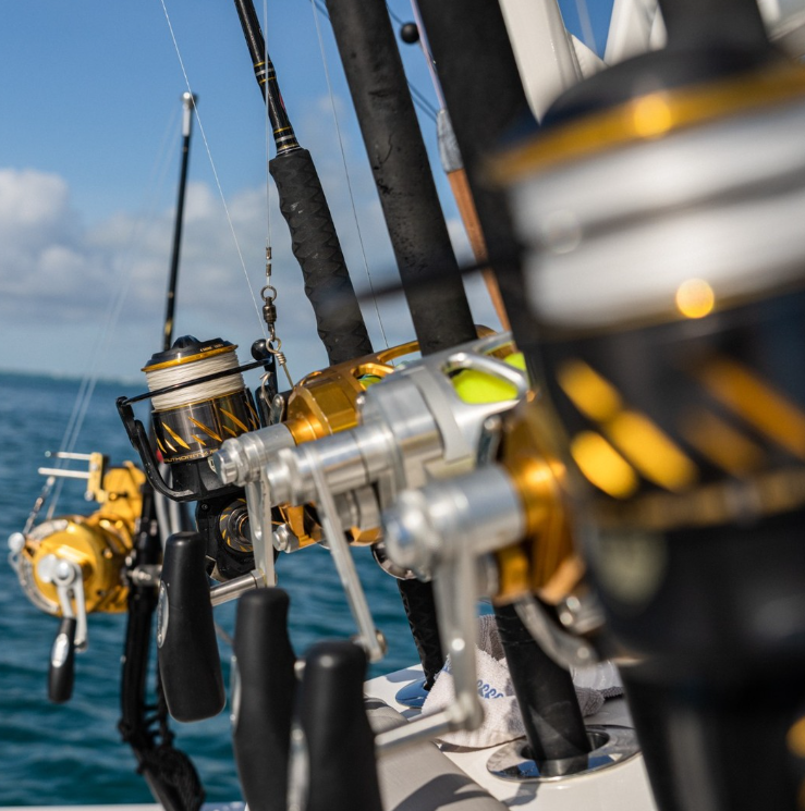 Reels