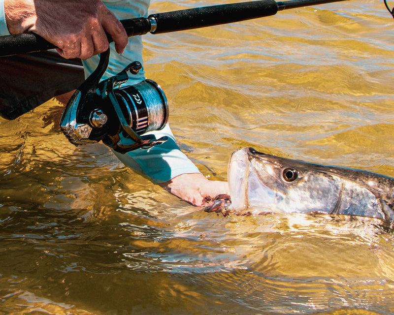 Daiwa BG MQ 5000 H