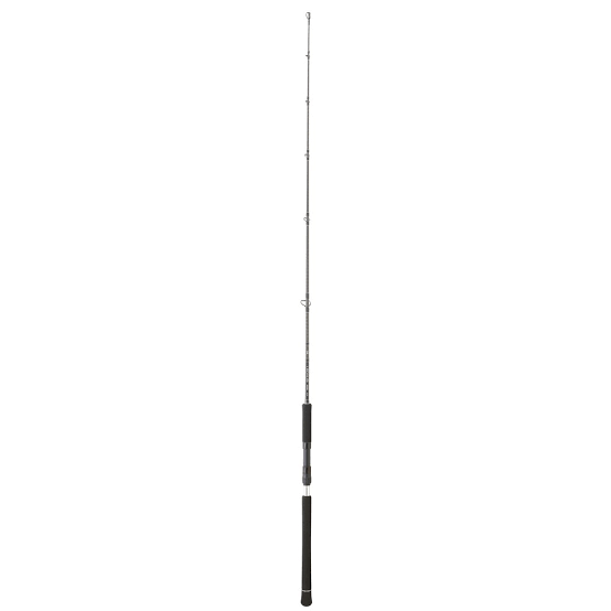 DAIWA LEGALIS JIGGING